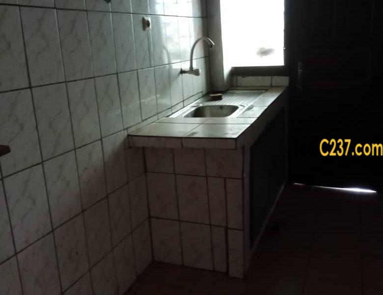 Vaste studio à louer à Kotto, Douala