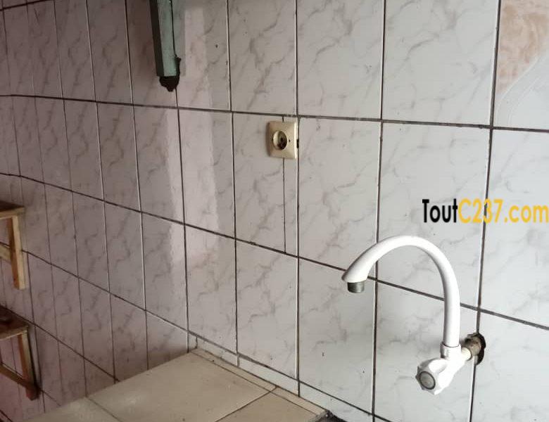 Vaste studio à louer à Kotto, Douala