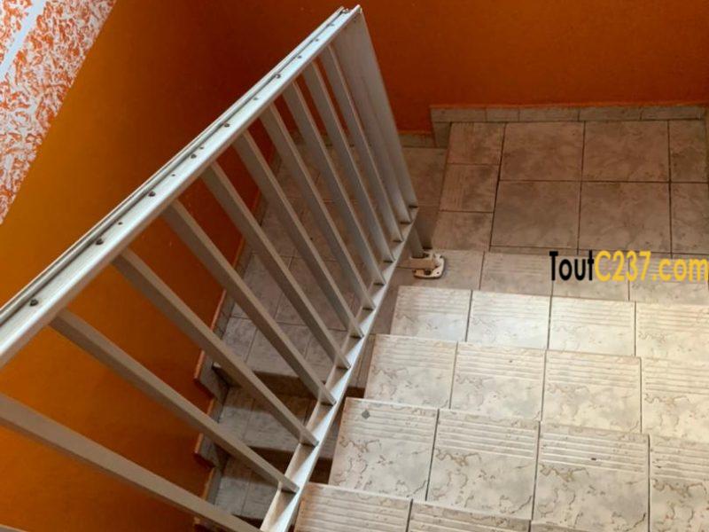 Duplex à vendre à Bonapriso, Douala