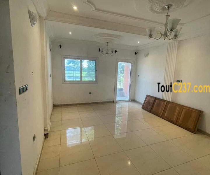 Appartement neuf à louer à Bonapriso