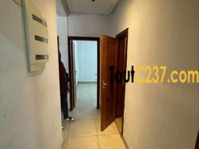 Appartement neuf à louer à Bonapriso