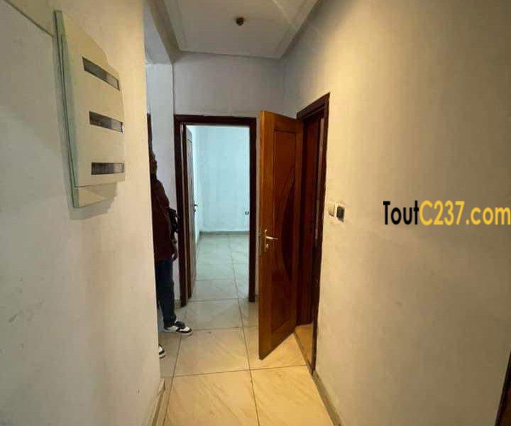 Appartement neuf à louer à Bonapriso