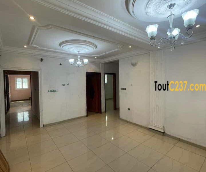 Appartement neuf à louer à Bonapriso