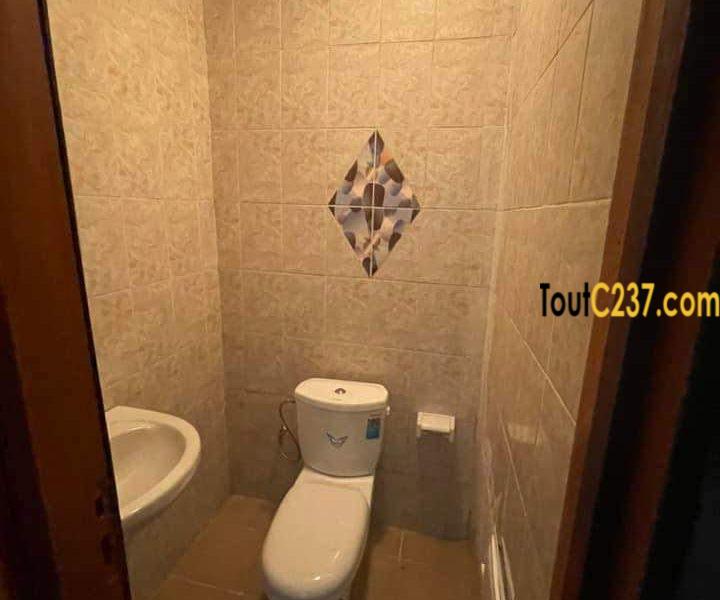 Appartement neuf à louer à Bonapriso