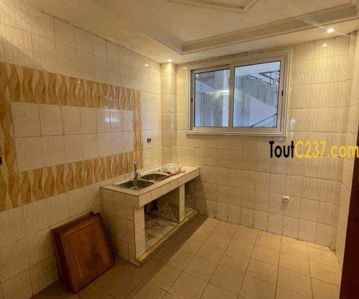 Appartement neuf à louer à Bonapriso