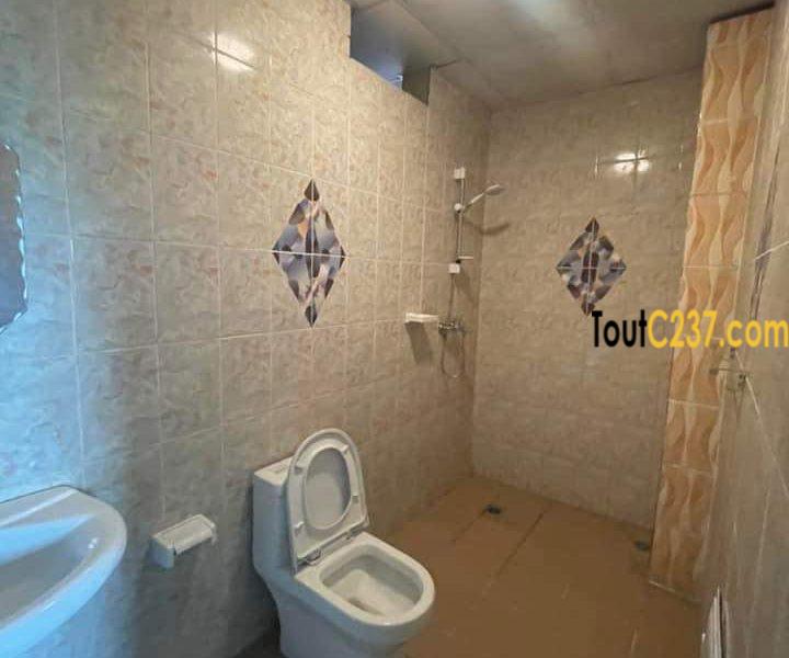 Appartement neuf à louer à Bonapriso