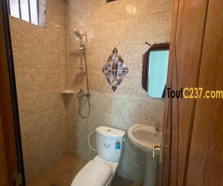 Appartement neuf à louer à Bonapriso