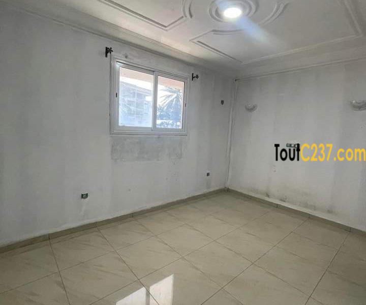 Appartement neuf à louer à Bonapriso