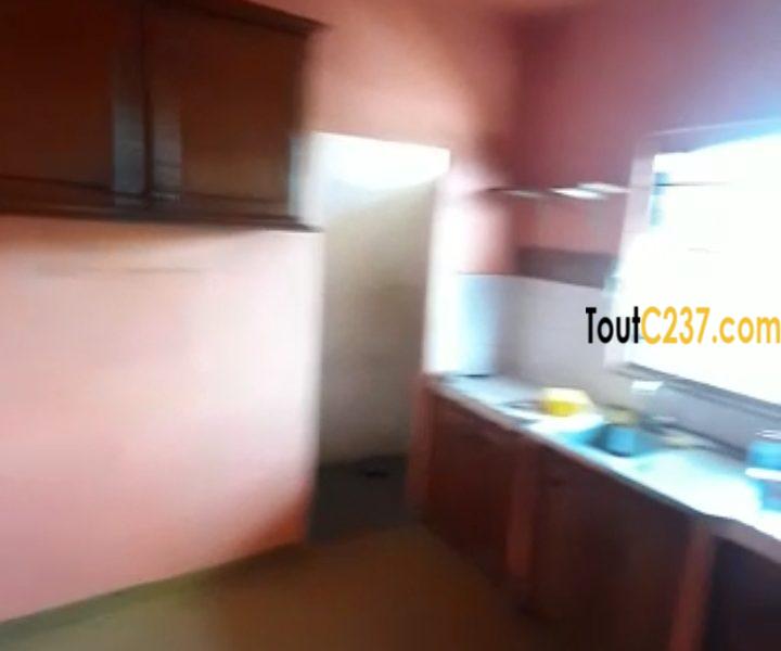 Maison sic à vendre à Kotto Douala