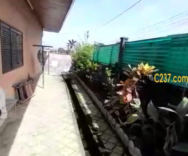 Maison sic à vendre à Kotto Douala