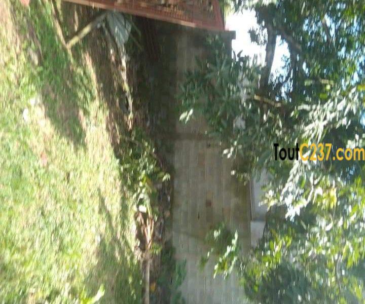 Terrain à vendre à Nkolbong, Douala