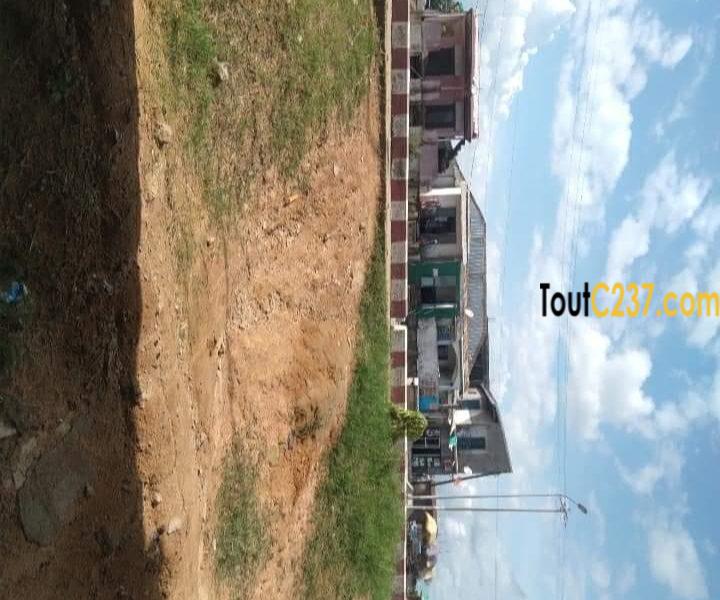 Terrain à vendre à Nkolbong, Douala