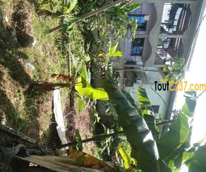 Terrain à vendre à Nkolbong, Douala