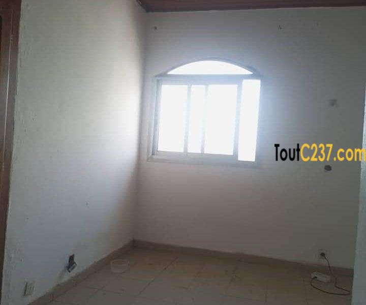 Appartement à louer à Bonapriso