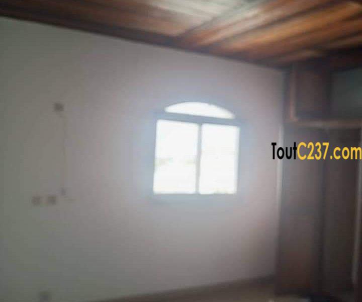 Appartement à louer à Bonapriso