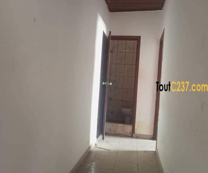 Appartement à louer à Bonapriso