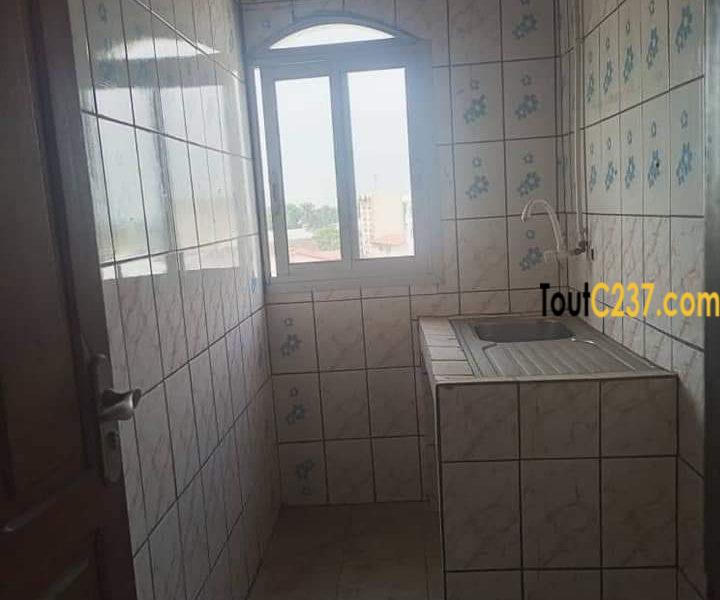 Appartement à louer à Bonapriso