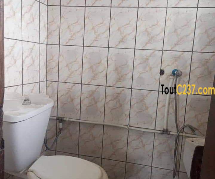 Appartement à louer à Bonapriso