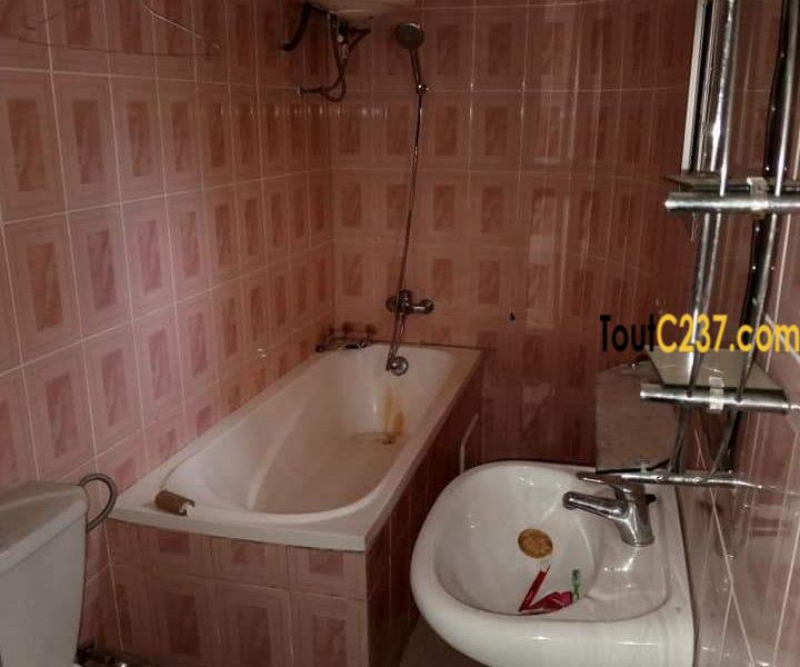 Appartement à louer à Bonamoussadi