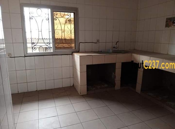 Appartement à louer à Bonamoussadi