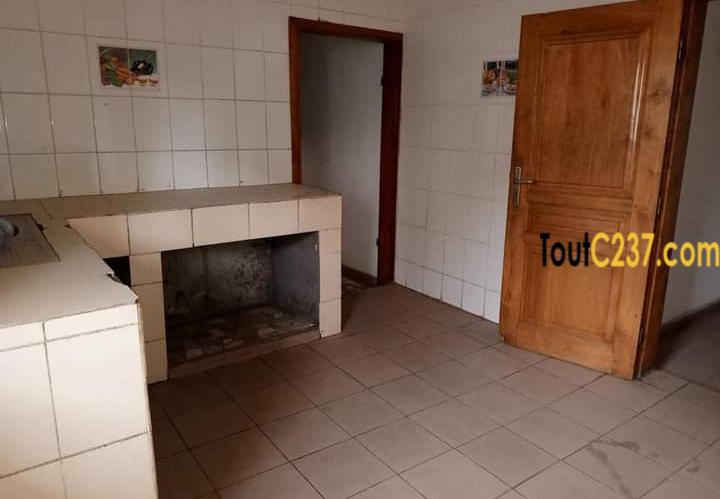 Appartement à louer à Bonamoussadi