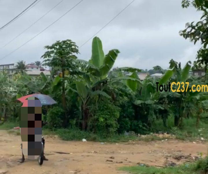 Terrain à vendre à Kotto Johannesburg