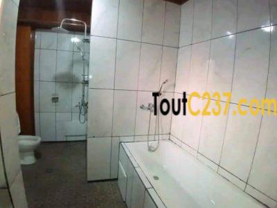 Appartement à louer à Bonamoussadi