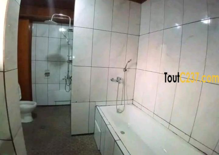 Appartement à louer à Bonamoussadi