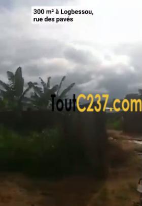 Terrain à vendre à Logbessou (Crtv)