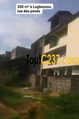 Terrain à vendre à Logbessou (Crtv)