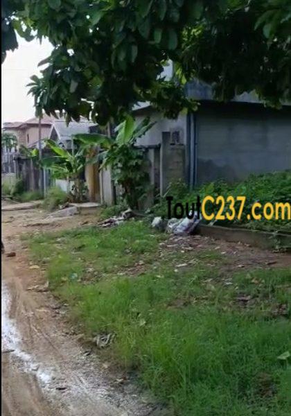 Terrain à vendre à Logpom (Njoya)