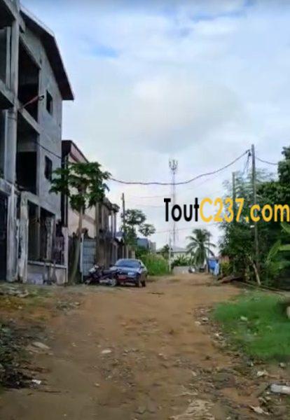 Terrain à vendre à Logpom (Njoya)