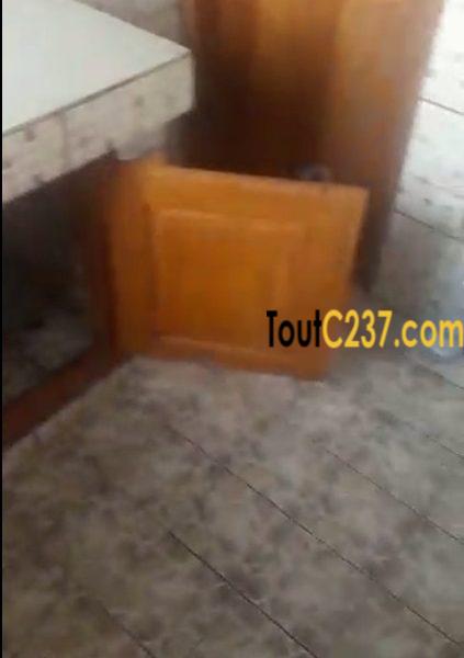 Studio Moderne à louer à Bonamoussadi, Douala