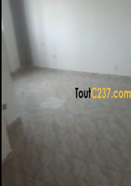 Studio Moderne à louer à Bonamoussadi, Douala