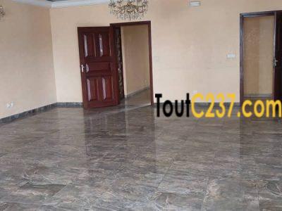Appartement à vendre à Bonapriso, Douala