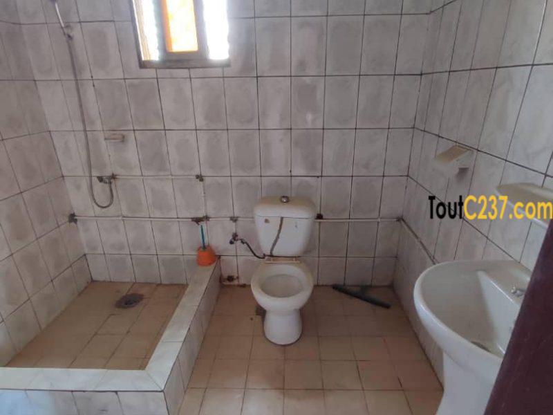 Vaste appartement à louer à Makepe, Douala