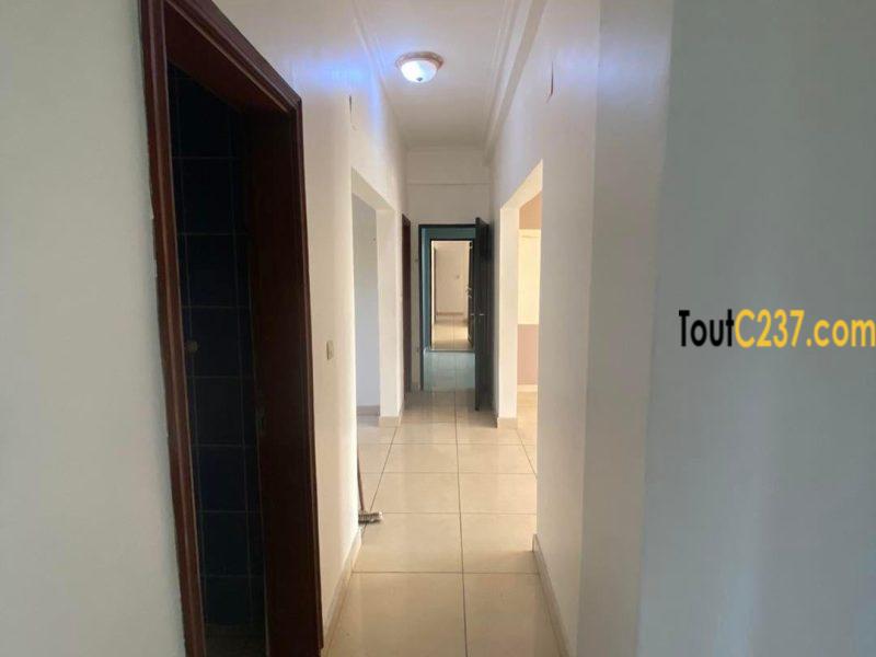 Appartement à louer à Bonapriso, Douala