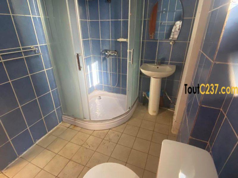 Appartement à louer à Bonapriso, Douala