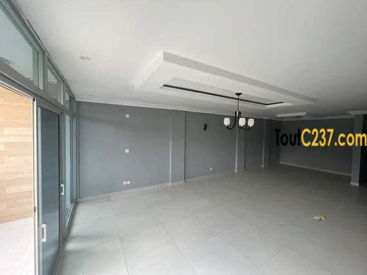 Appartement neuf à louer à Bonamoussadi