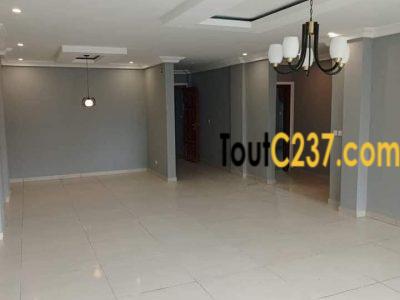 Appartement neuf à louer à Bonamoussadi