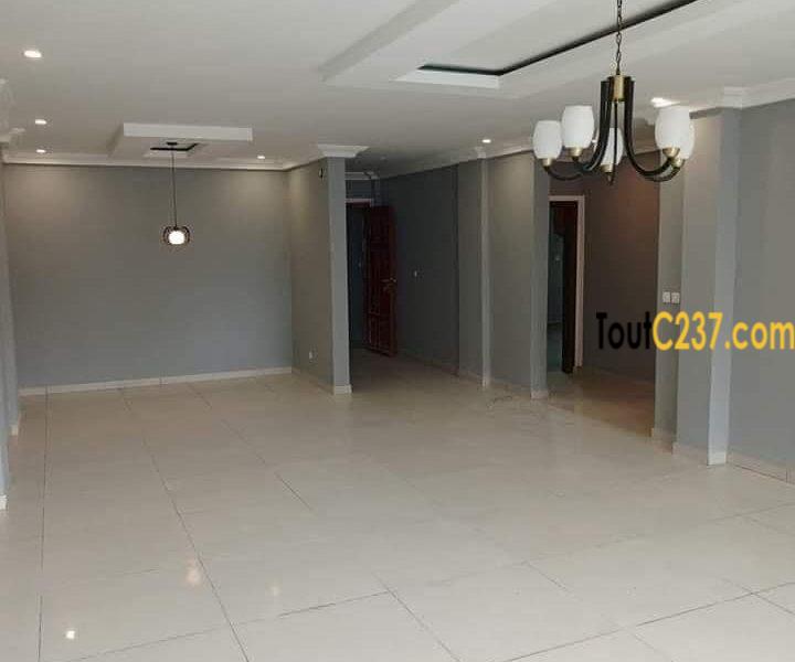 Appartement neuf à louer à Bonamoussadi