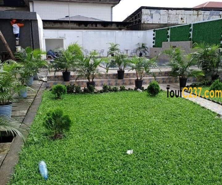 Appartement neuf à louer à Bonamoussadi