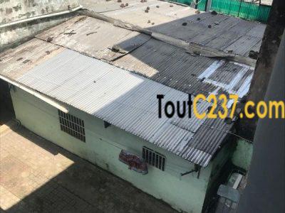 Terrain à vendre à Bonapriso, Douala