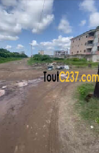 Terrain à vendre à Saint Michel (Bonadiwoto)