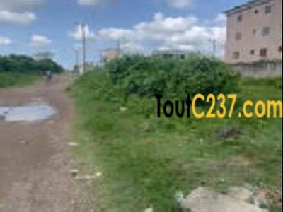 Terrain à vendre à Saint Michel (Bonadiwoto)