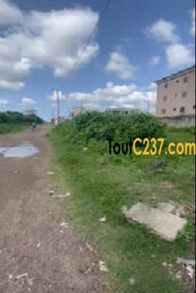 Terrain à vendre à Saint Michel (Bonadiwoto)