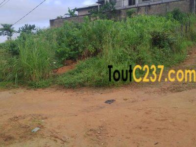 Terrain à vendre à Logpom (Bassong)