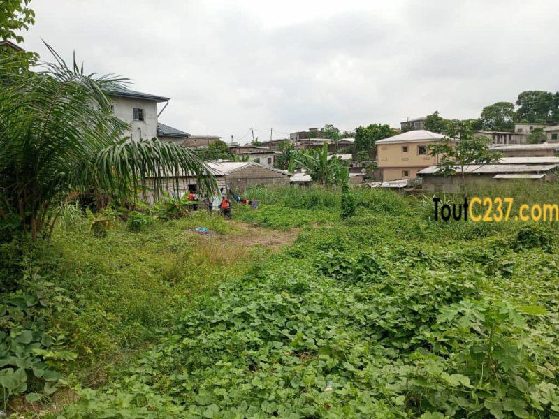 Terrain à vendre à Pk10 (Tradex)