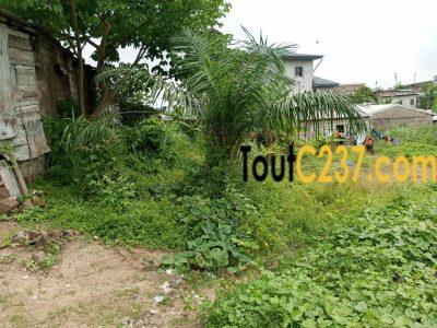 Terrain à vendre à Pk10 (Tradex)