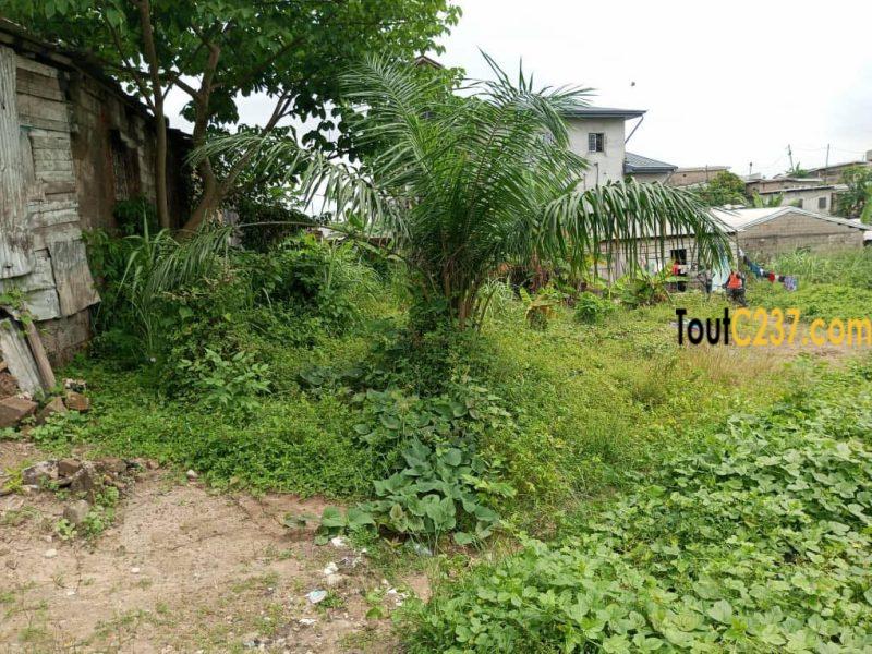 Terrain à vendre à Pk10 (Tradex)